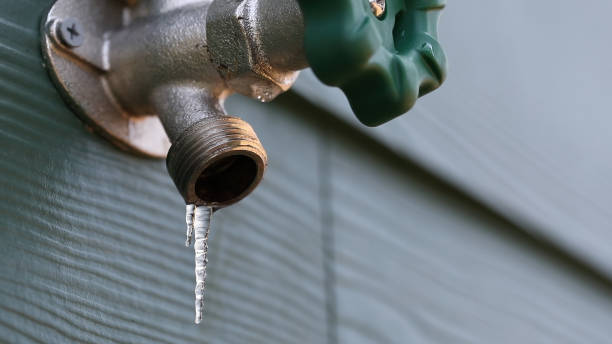 Best Local Plumber Services  in Keystone Heights, FL